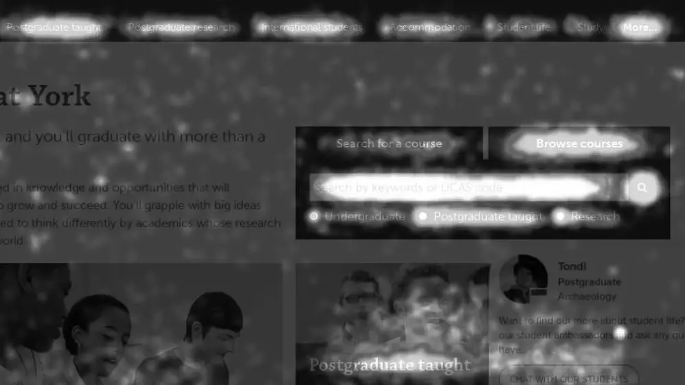 screenshot of a webpage heatmap